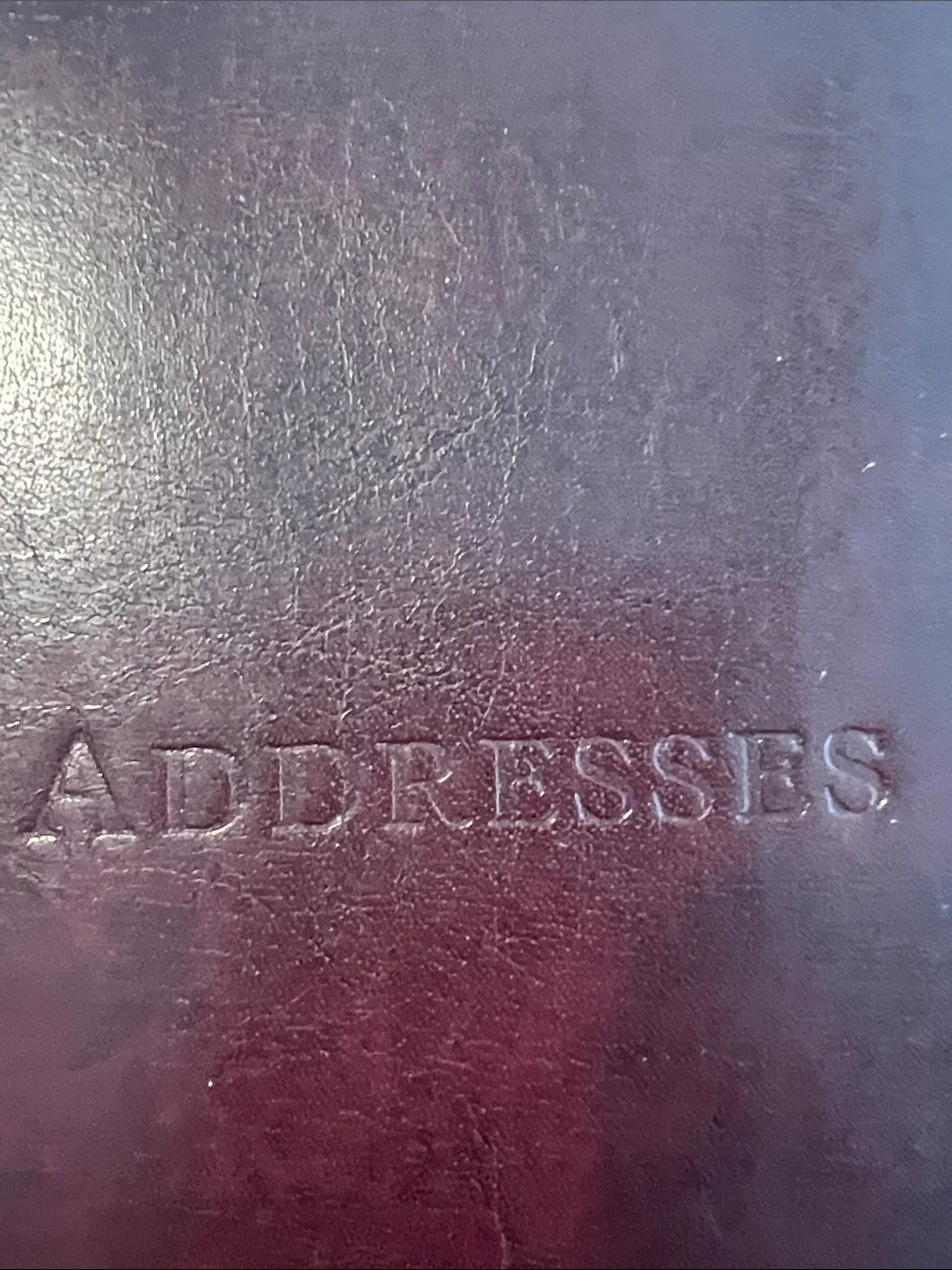 Embossed 'ADDRESSES' Leather Address Book - Deep Brown